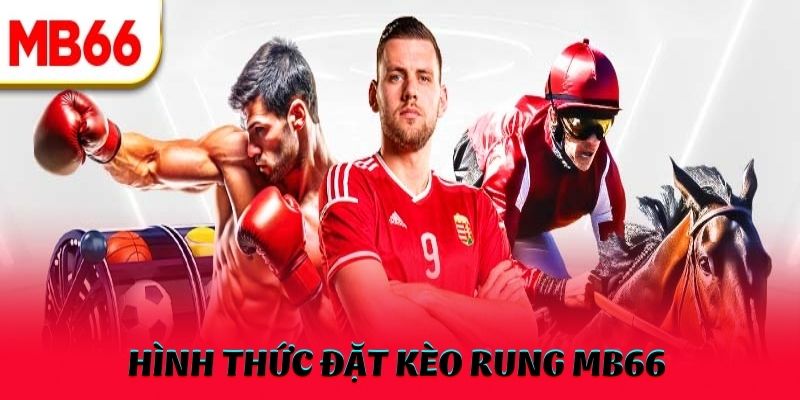 Giới thiệu về hình thức đặt kèo rung MB66