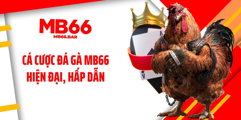 Cá cược đá gà MB66 hiện đại, hấp dẫn