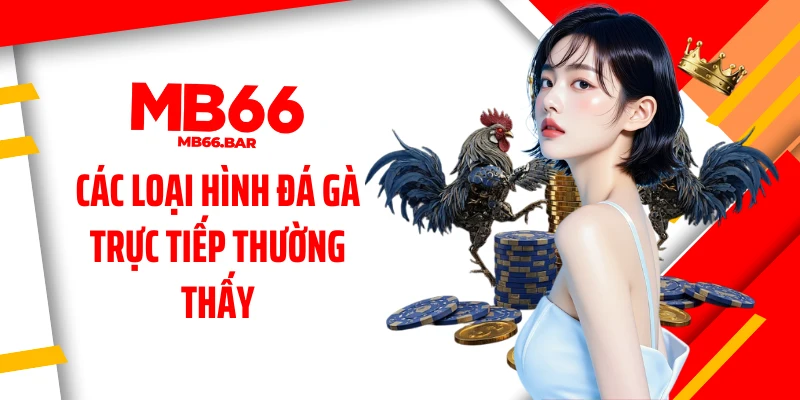 Các loại hình đá gà trực tiếp thường thấy