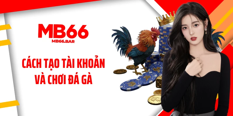 Cách tạo tài khoản và chơi đá gà