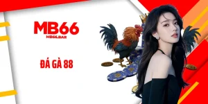 Đá Gà 88 - Địa Chỉ Cho Dân Cược Đá Gà Online Chuyên Nghiệp