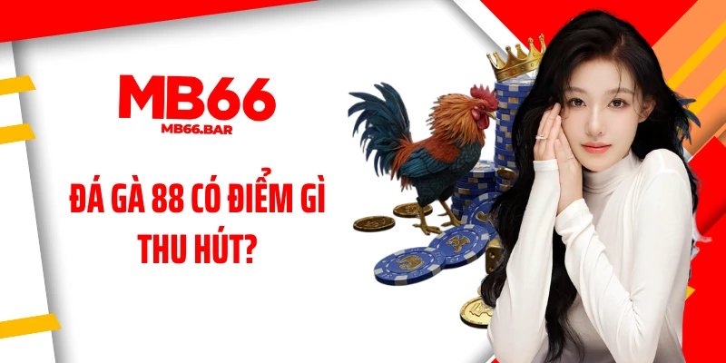 Đá gà 88 có điểm gì thu hút?