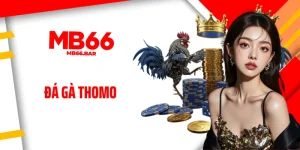 Đá Gà Thomo: Sàn Đấu Đỉnh Cao, Cược Thủ Săn Thắng Liền Tay