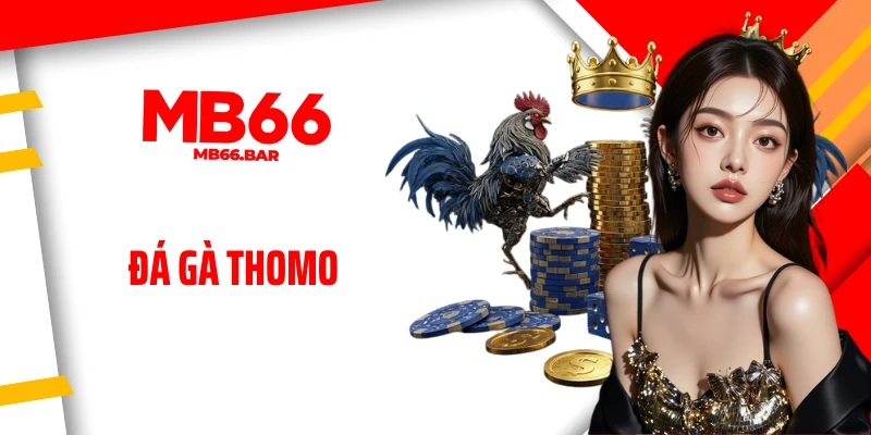 Đá Gà Thomo: Sàn Đấu Đỉnh Cao, Cược Thủ Săn Thắng Liền Tay