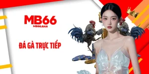 Đá Gà Trực Tiếp: Thưởng Thức Xem Từng Giây Căng Thẳng