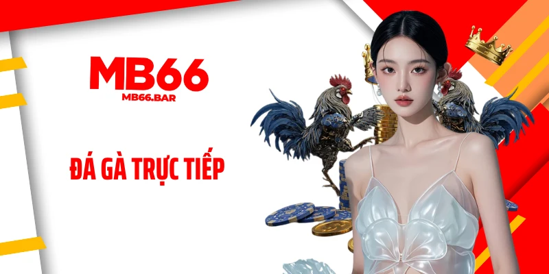 Đá Gà Trực Tiếp: Thưởng Thức Xem Từng Giây Căng Thẳng