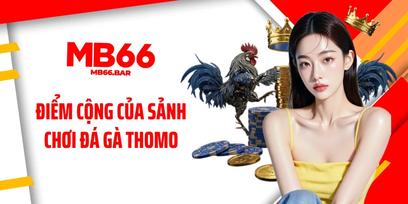 Điểm cộng của sảnh chơi đá gà Thomo