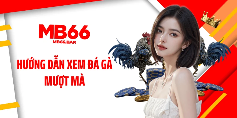 Hướng dẫn xem đá gà mượt mà