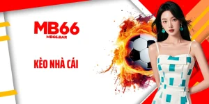 Kèo Nhà Cái Là Gì? Bật Mí Cách Đọc Kèo Chuẩn Như Dân Chuyên