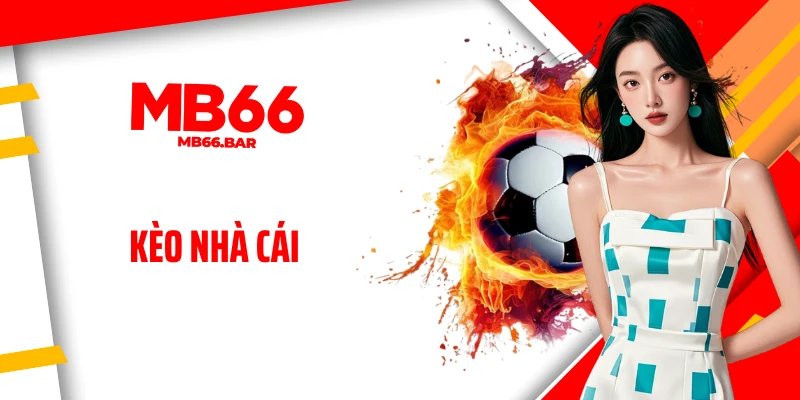 Kèo Nhà Cái Là Gì? Bật Mí Cách Đọc Kèo Chuẩn Như Dân Chuyên