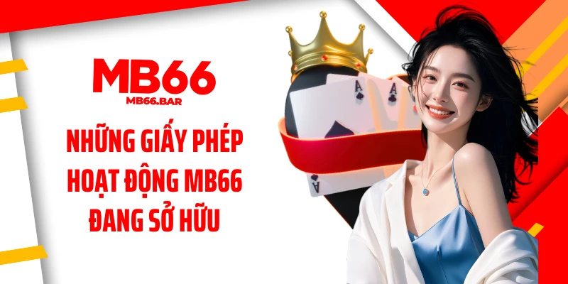 Những giấy phép hoạt động MB66 đang sở hữu