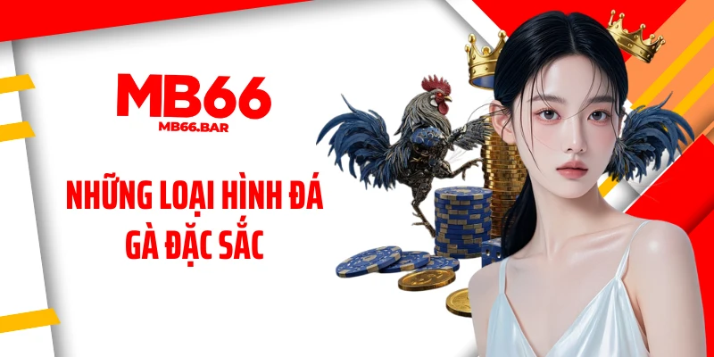 Những loại hình đá gà đặc sắc