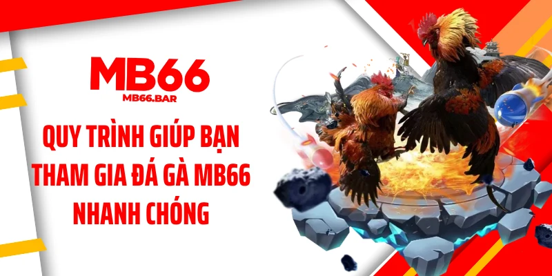 Quy trình giúp bạn tham gia đá gà MB66 nhanh chóng