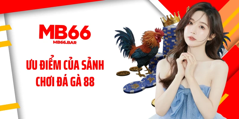 Ưu điểm của sảnh chơi đá gà 88