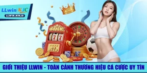gioi-thieu-llwin